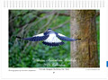 Western Australian Birdlife 2024 Calendar