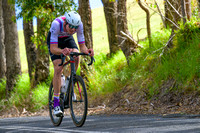 Stage 2 Third into Nannup