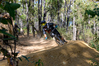 _DSC0420